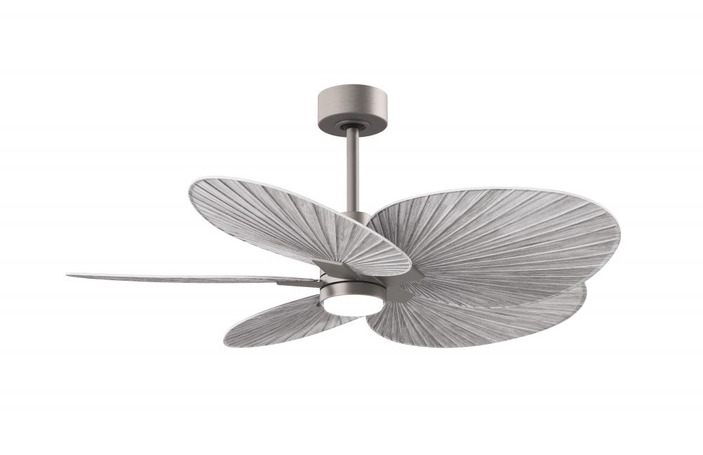 Alessandra Tropical 5-blade ceiling fan in Brushed Nickel and Barn Wood blades.