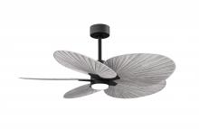 Matthews Fan Company AKTPLK-BK-BW - Alessandra Tropical 5-blade ceiling fan in Matte Black and Barn Wood Tone blades.