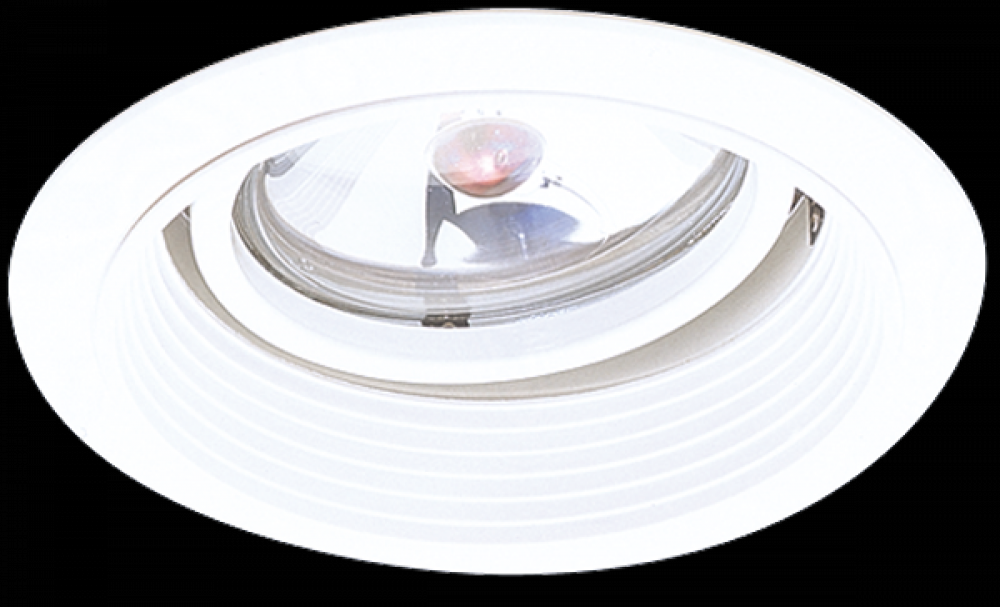 DISCON 6" ADJSTBLE TRM FOR PAR36
